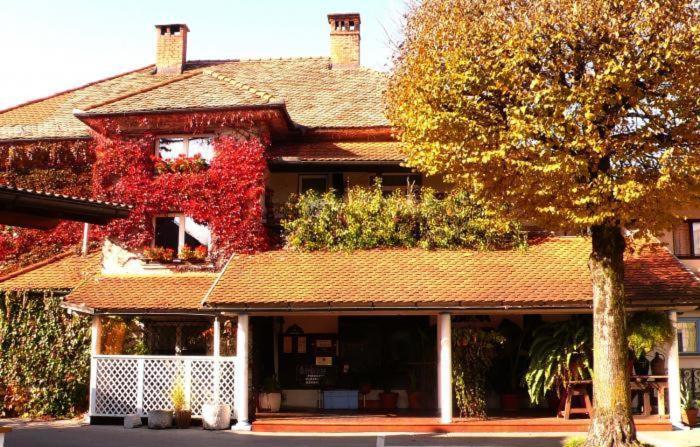 Hotel Sporn Radomlje Ngoại thất bức ảnh