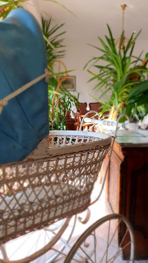 Hotel Sporn Radomlje Ngoại thất bức ảnh